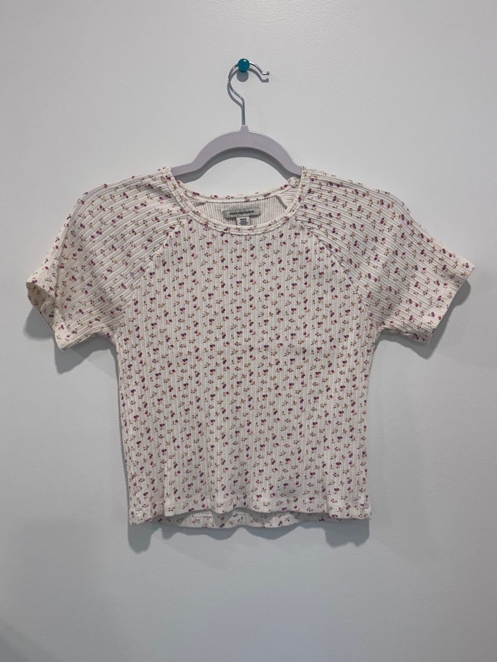 American Eagle Outfitters Cream Ribbed Tee with Pink Floral Print